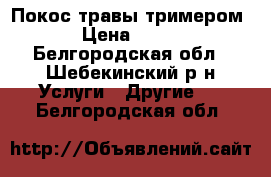 Покос травы тримером › Цена ­ 100 - Белгородская обл., Шебекинский р-н Услуги » Другие   . Белгородская обл.